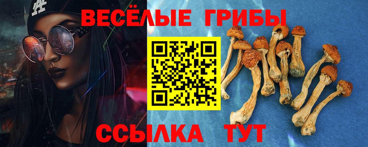 Псилоцибиновые грибы прущие грибы  где купить наркоту  Галлюциногенные грибы прущие грибы  Ефремов  Вход с VPN 