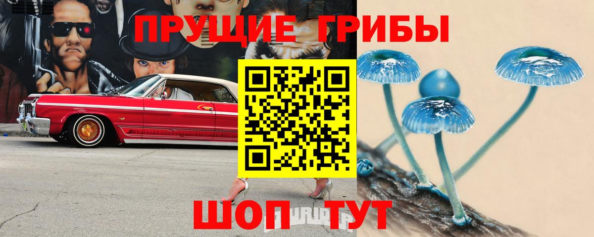 Псилоцибиновые грибы Psilocybine cubensis Ефремов