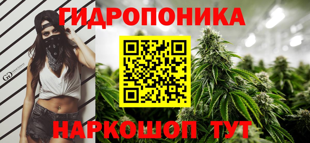 Каннабис индика Ефремов